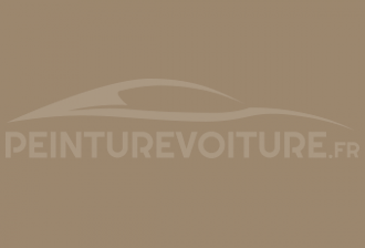 Code peinture Fiat 841 (0841) Beige Rustica Brasile