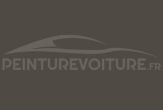 Code peinture Fiat 845 Grigio (p-choc)