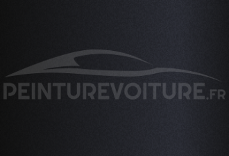 Code peinture Fiat 846 VV Carbon Metal Inserto Paraurti Punto Evo