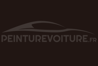 Code peinture Peugeot 859 Brun Electrophorese