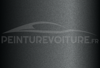 Code peinture Daewoo 86U Storm Grey