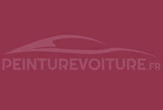 Code peinture Opel 876 Berry Red