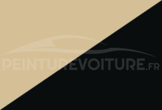 Code peinture Renault 883 340 + 699