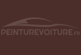 Code peinture Skoda 8856 Rot-mahogany