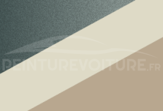 Code peinture Renault 886 170 + 319