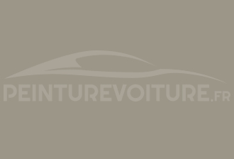 Code peinture Subaru 88N 91H Warm Grey
