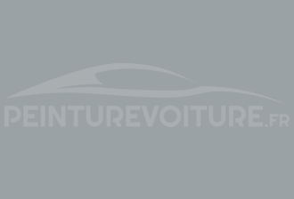 Code peinture General Motors (USA) 89 Norfolk Gray