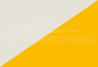 Code peinture Renault 890 300 + 356