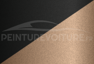 Code peinture Nissan 891 638 + 653