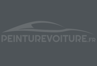 Code peinture Bmw 893 Perlitgrau (int)