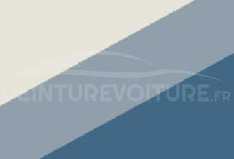 Code peinture Renault 894 300 + 486 + 487