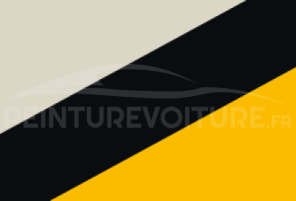 Code peinture Renault 895 348 + 356 + 699