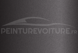 Code peinture Evo 89532 Bornit