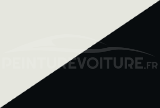 Code peinture Renault 899 355 + 699