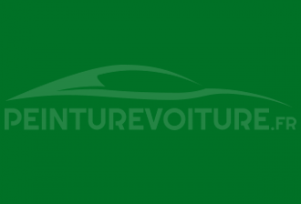 Code peinture FSO 8V Green