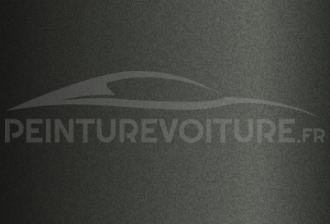 Code peinture Innocenti 9000 Nero