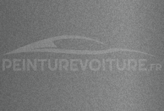 Code peinture Citroen 9002 Gris