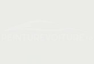 Code peinture Casalini 9003 White