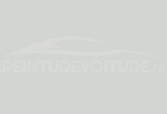 Code peinture Tata Motors 902 Arctic White