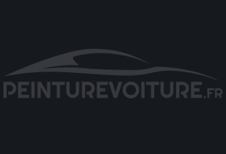 Code peinture Tata Motors 904 Jet Black