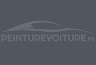 Code peinture Fiat 905/C Grigio Amazon