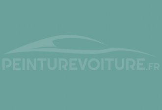Code peinture Renault 910 Vert Erin