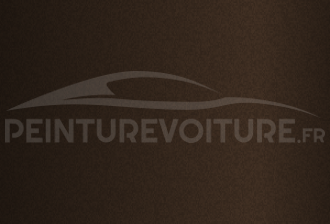 Code peinture Renault 9103 Marron