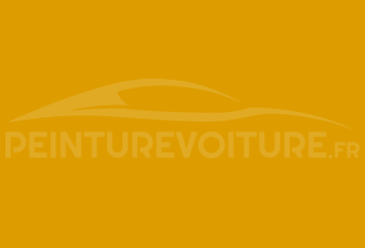 Code peinture Skoda 9161 Ginster Yellow