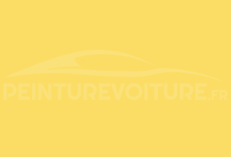 Code peinture Nissan 919 Yellow
