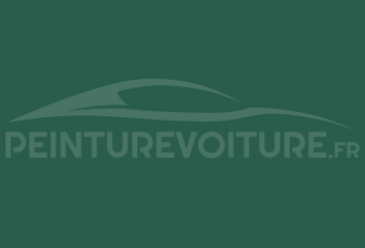 Code peinture Renault 921 Vert Amande