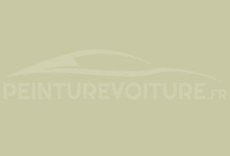 Code peinture Renault 922 Vert Mississipi