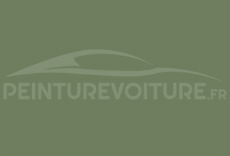 Code peinture Renault 922 Vert