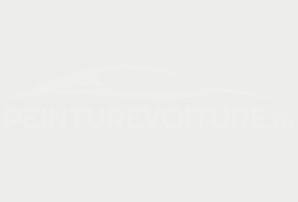 Code peinture Mercedes 9223 Signalweiss