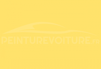 Code peinture Honda 92282 Dakar Yellow