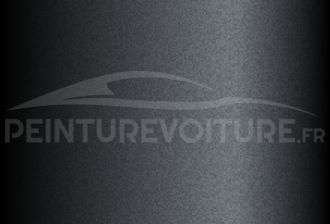 Code peinture Toyota 930 Greyish Purple