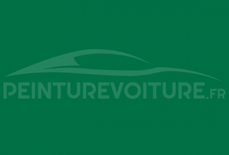 Code peinture Renault 942 Vert Screg