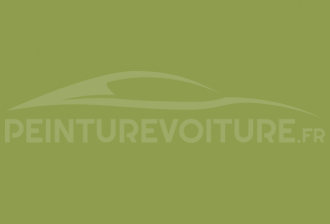Code peinture Renault 943 Vert Pomme