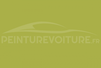 Code peinture Renault 946 Vert Acide - Vert Pistache