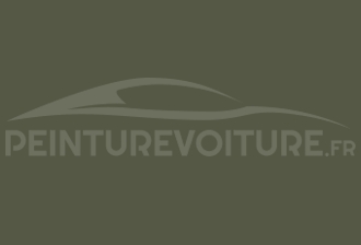 Code peinture Renault 956 Vert Eaux Et Forest-bussing
