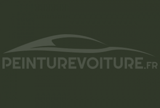 Code peinture Nissan 965 Dark Green