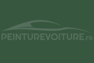 Code peinture Renault 967 8409 Vert Yucca