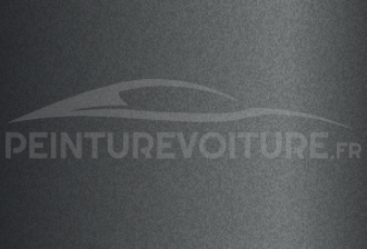 Code peinture Evo 97525 Altograu