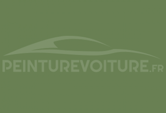Code peinture Renault 978/55 Vert D'eau