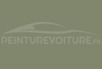Code peinture Renault 988/55 Vert Amande