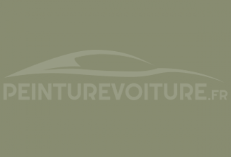 Code peinture Renault 988 Vert Cendre