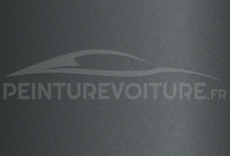 Code peinture Hyundai 995724 Gris