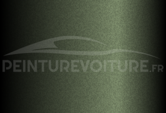 Code peinture Kia 9L Natural Olive