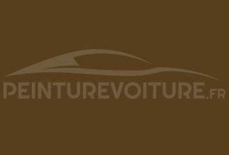 Code peinture Opel 9PG Foresty Bronze Green