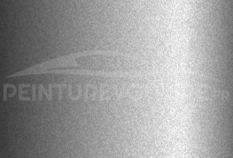 Code peinture Ford (Usa) 9PGGWWA Luster Nickel