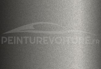 Code peinture Ford 9QUCWHA Rao Grey